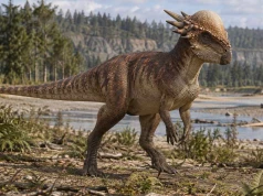 Stygimoloch od A do Z. Kolczasta czaszka, filmowy taran i zagadka jego tożsamości