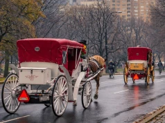 Koniec dorożek w Central Parku. Nowy Jork żegna turystyczną tradycję liczącą 168 lat.