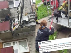 Płock: strażacy uratowali psa zamkniętego od kilku dni w mieszkaniu