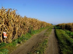 Równiarka dla gminy za 15 tys. zł. Ile naprawdę powinna kosztować taka maszyna?