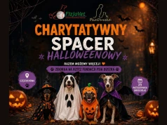 Halloweenowy spacer z psami w szczytnym celu. Będzie okazja, by pomóc zwierzętom