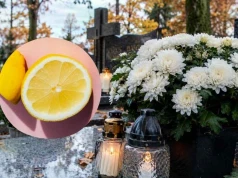 Florysta kazał mi wziąć pół cytryny na cmentarz. Efekt totalnie mnie zaskoczył