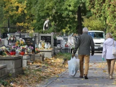 Nielegalne gałęzie trafiają na cmentarze. Trwają kontrole