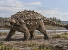 Ankylozaur od A do Z. Ogon jak młot i zagadka prehistorycznych pojedynków