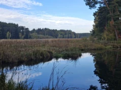 Kałuże dają złudne poczucie bezpieczeństwa. Polska wciąż wysycha