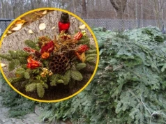 Kupujesz stroik na Wszystkich Świętych? Zwróć uwagę na jedną rzecz