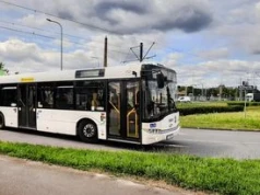 Toruń. Zmiany w komunikacji miejskiej na Wszystkich Świętych. Niektóre autobusy pojadą częściej, 1 listopada za darmo