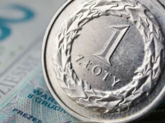 Zikom chce osiągnąć 100 mln zł przychodu i zadebiutować na giełdzie