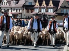 Rośnie popularność tradycyjnego zawodu. Więcej osób kończy szkolenia