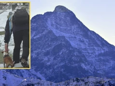 "Pomysłowość nie zna granic". Poszedł z psem w Tatry