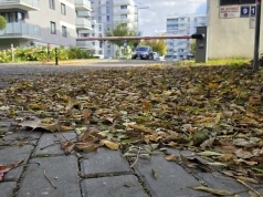 Liście zalegają na chodniku pod Twoim domem? Nie mamy dobrych wieści: To Ty musisz je sprzątnąć