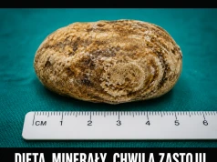 Obiad poszedł w geologię
