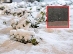 Sypnęło śniegiem na zachodzie Polski. Są zdjęcia