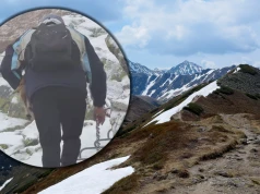 Wziął psa pod pachę i ruszył na szczyt w Tatrach. "Zapomniał zabrać rozumu"
