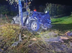 Groźny wypadek na DW577. Samochód roztrzaskał się na ogrodzeniu sadu