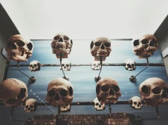 Homo erectus sprzed 2 mln lat. Odkrycie w „kolebce ludzkości” przesuwa datę pojawienia się człowieka