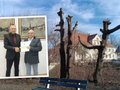 Park w Niemodlinie czekał na to dekady. Wykonawca ma rok na rewitalizację