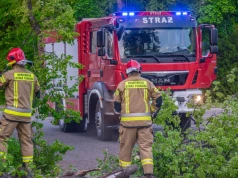 Silny wiatr w północnej Polsce. Drzewo spadło na cztery samochody