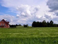 CPK płaci za przejętą ziemię. Nawet milion złotych za hektar!