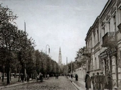 Zanim w Alejach wyrosły lipy. Ponad 200 lat historii drzew!