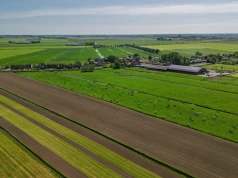 Radziwiłł więził tam Oleńkę. Wielka ferma bydła pod Taurogami na sprzedaż