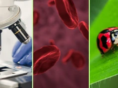 Quiz. Pamiętasz lekcje biologii? Wynik 10/11 będzie powodem do dumy