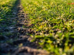 KGW muszą rozliczyć otrzymane pieniądze. ARiMR przypomina o terminach