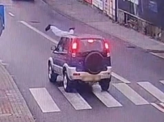 19-latka wjechała prosto w pieszą na pasach. Straciła prawo jazdy