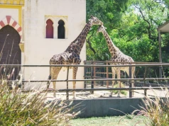 Jakie jest największe prywatne zoo w Polsce i co warto zobaczyć