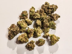 Chemango Kush – odmiana od Aurory na półkach polskich aptek