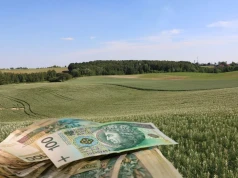 Ziemia rolna tanieje, czynsze spadły aż o 12%. Ale w tych województwach ceny idą w górę
