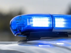 Powiat ząbkowicki. Cztery zdarzenia w kilka godzin. Volvo w rzece, zderzenia z dzikiem i sarną