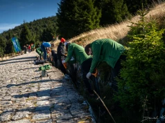 Zamienili biurka na górskie szlaki. Pracownicy Żabki pomagali w Karkonoszach