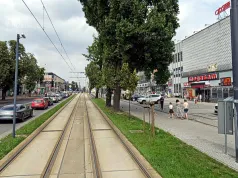 Częstochowa. Adwokat Adrianna W. za kierownicą mimo sądowych zakazów