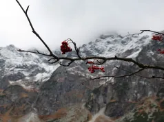 Tatry: pierwszy stopień zagrożenia lawinowego powyżej 1800 m n.p.m.
