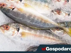 Jak jesienią i zimą zapewnić sobie dość witaminy D?