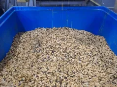 Z rodzinnej uprawy rozwinął biznes na tysiące ton rocznie. Sam uprawia niewiele