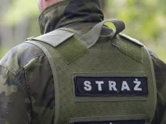 Straż Leśna monitoruje lasy. Wysokie mandaty za nielegalne wycinanie gałęzi