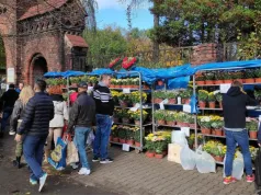 Nawet 500 zł mandatu za stroik na Wszystkich Świętych. Kontrole trwają w całej Polsce
