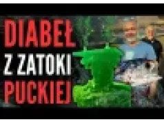 Ryby zdychają, papiery się zgadzają