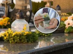 Przekręt na zniczach. Wysyp takich sklepów przed 1 listopada