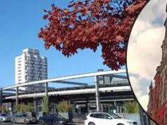 Najbardziej fotogeniczna pora roku? Zobacz jesienny Wrocław na naszych zdjęciach