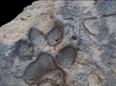 Archeolodzy przecierali oczy. W ruinach sprzed 4 tys. lat znaleźli coś niespodziewanego