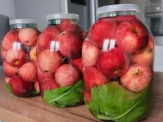 Nasze babcie zawsze kisiły jabłka. Ich smak jest nie do podrobienia