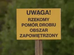 Rzekomy pomór drobiu w powiecie chełmskim. Dwie miejscowości objęte strefą zakażenia