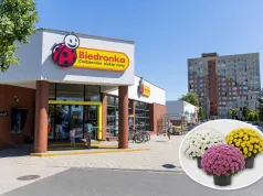 W Biedronce ruszyła promocja 2+1 gratis na Wszystkich Świętych