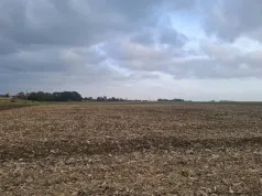 To warto zrobić po zbiorze kukurydzy i buraków. Nie ma na co czekać