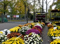 Wszystkich Świętych w Stargardzie. Służby mają co robić