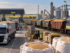 Polska zarabia miliardy na handlu z Ukrainą. Ale w rolnictwie sytuacja wygląda zupełnie inaczej