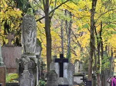 Nie tylko krzyż, Jezus i rośliny. Nietypowe symbole na polskich grobach